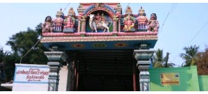 துவரிமான்